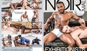 Exhibitionists