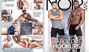 Hardcore Hookups 2