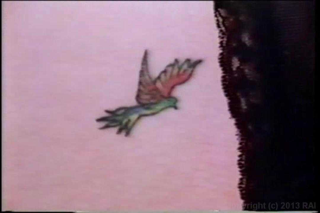 Cult 70s Porno Director: Doris Wishman Double Feature サンプル画像