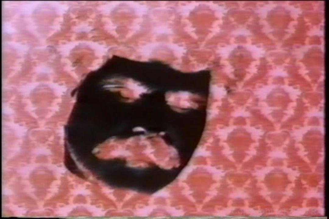 Cult 70s Porno Director: Doris Wishman Double Feature サンプル画像