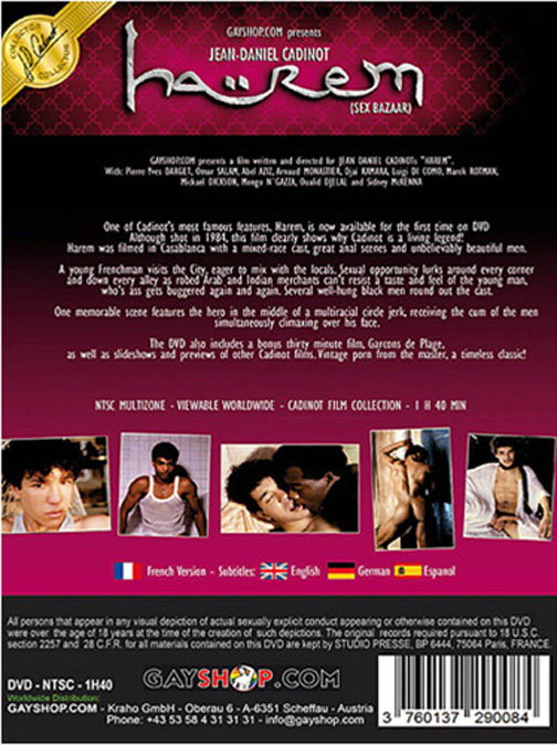 Harem (Sex Bazaar) サンプル画像