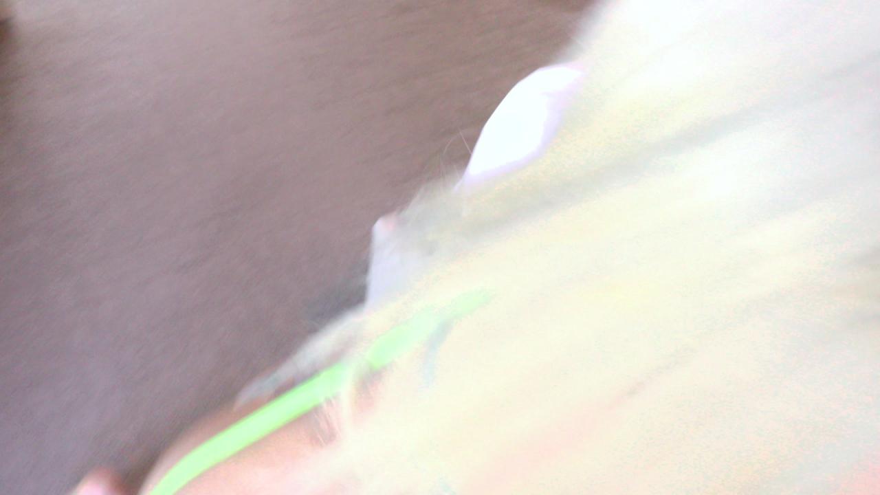 Anal Day 6 サンプル画像