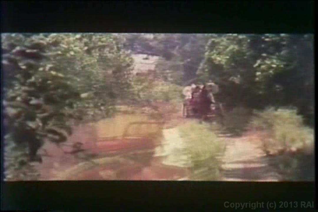 Cult 70s Porno Director: Howard Zhiem Double Feature サンプル画像