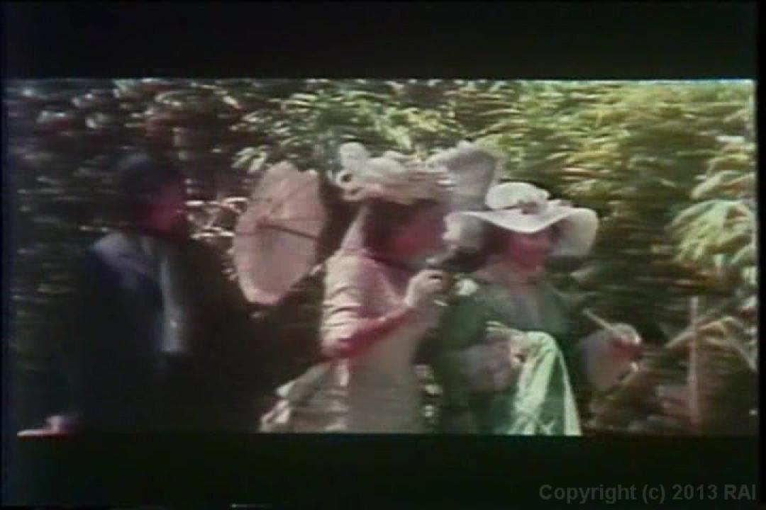 Cult 70s Porno Director: Howard Zhiem Double Feature サンプル画像