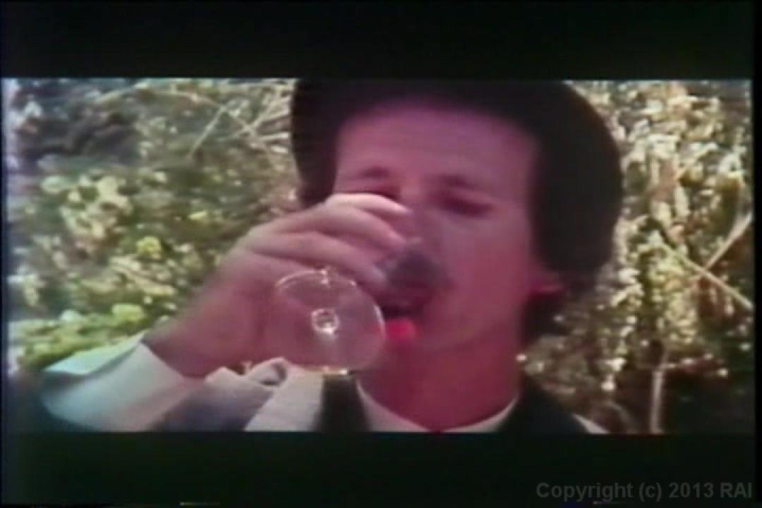 Cult 70s Porno Director: Howard Zhiem Double Feature サンプル画像