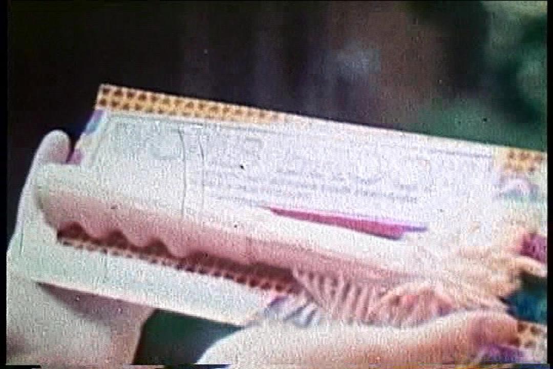 Lesbian Bra Busters In The 70's 2 サンプル画像56