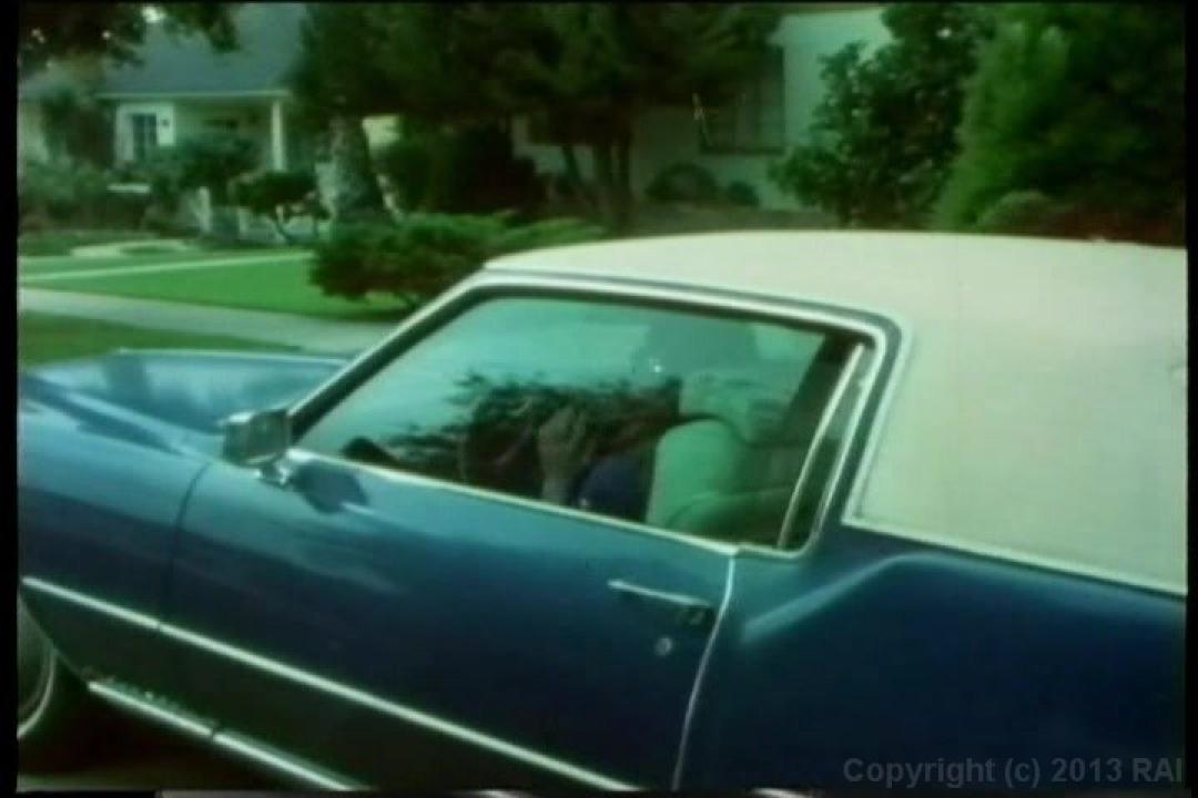 Cult 70s Porno Director: Peter Balakoff Double Feature サンプル画像1
