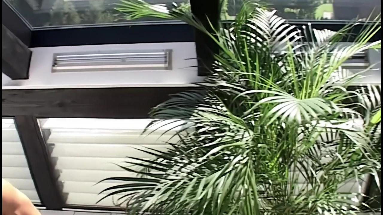 Wild Sex In A French Resort サンプル画像3