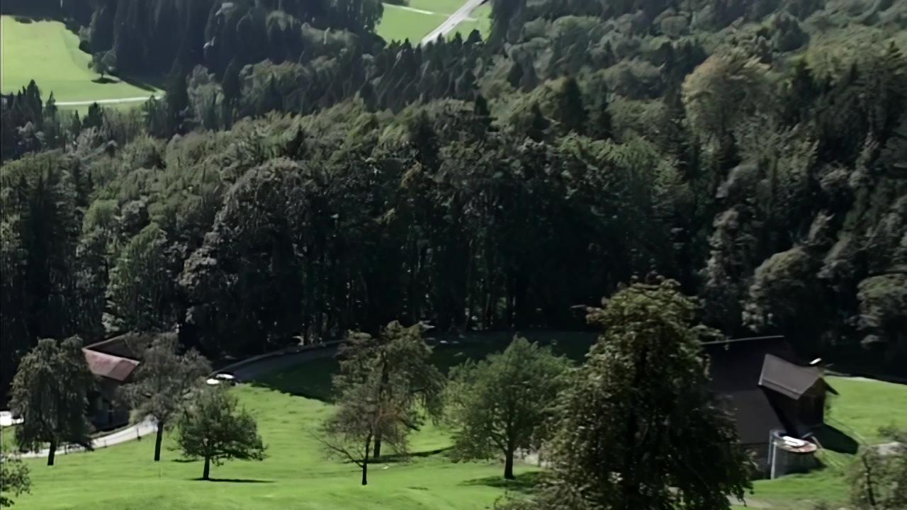 Wild Sex In A French Resort サンプル画像8