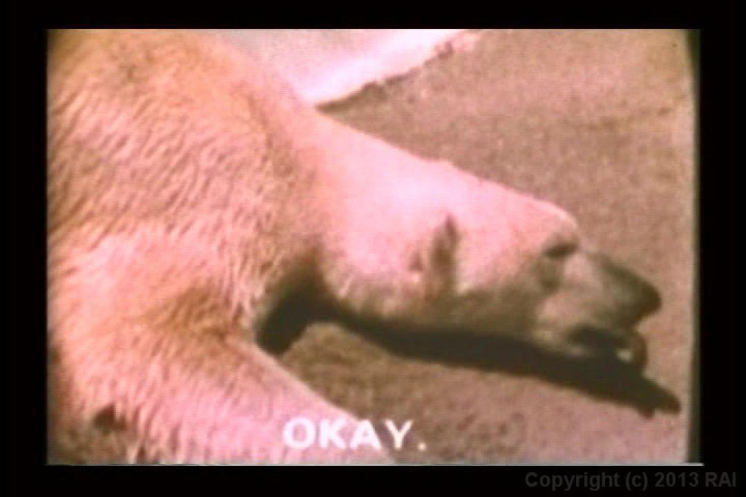 Teenage Anal Eruptions サンプル画像72