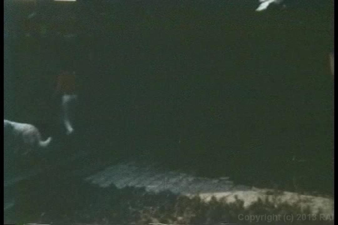 Teenage Anal Eruptions サンプル画像92