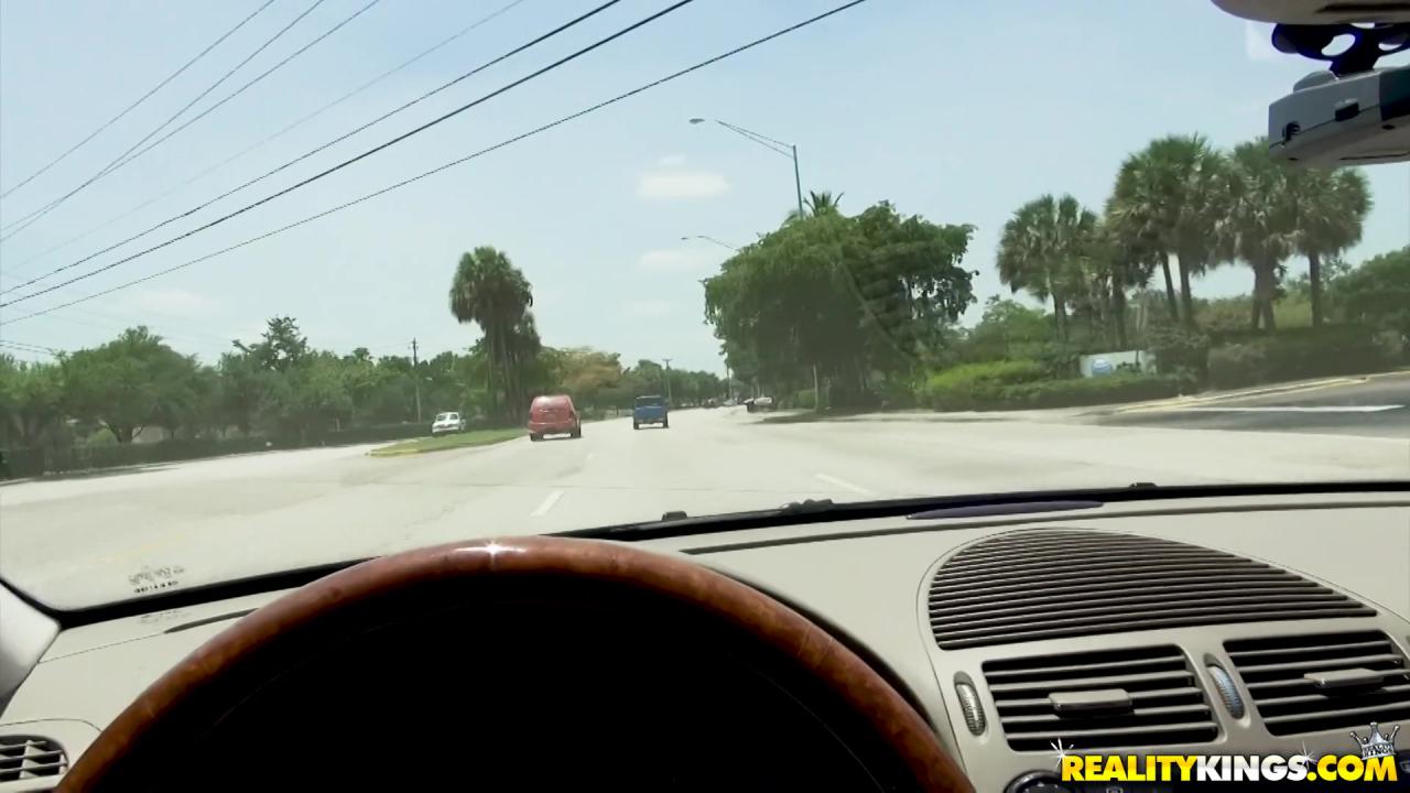 Pickup Fucks 9 サンプル画像