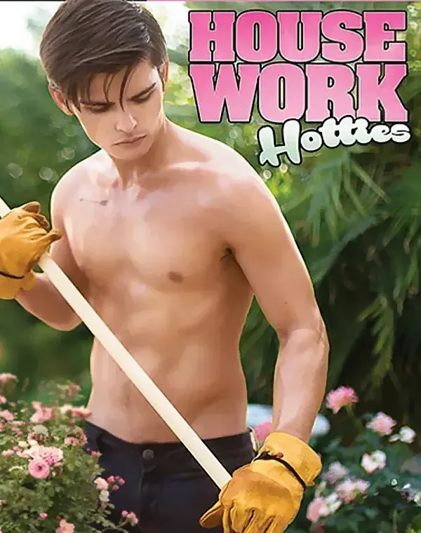 Housework Hottiesダウンロード