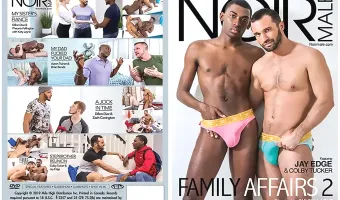 Family Affairs 2