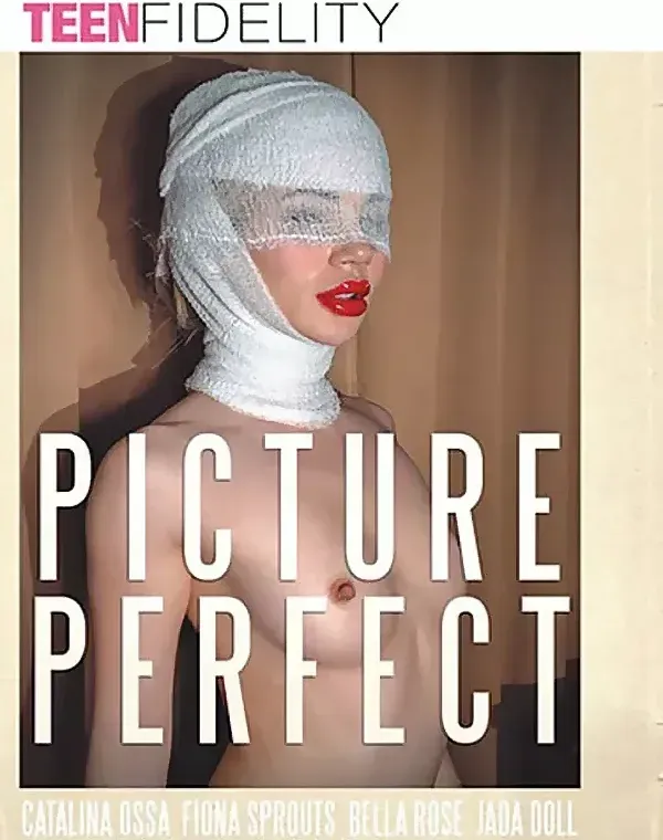 Picture Perfect (2 DVD Set)ダウンロード