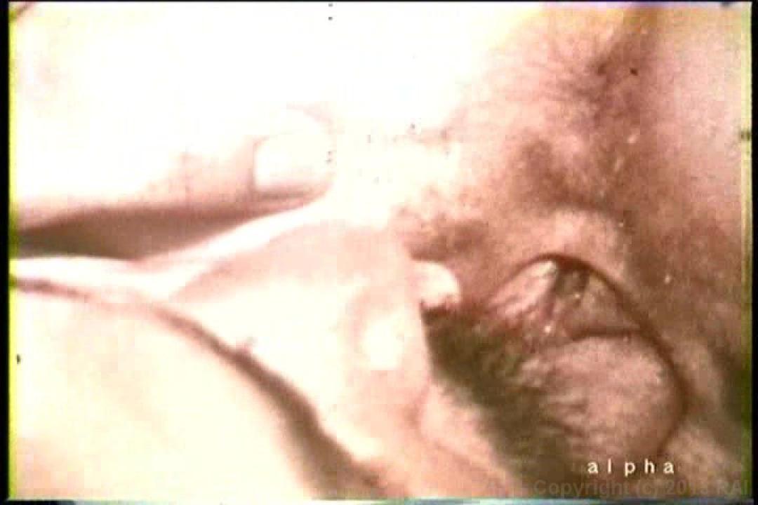 Anal Assault 1 サンプル画像