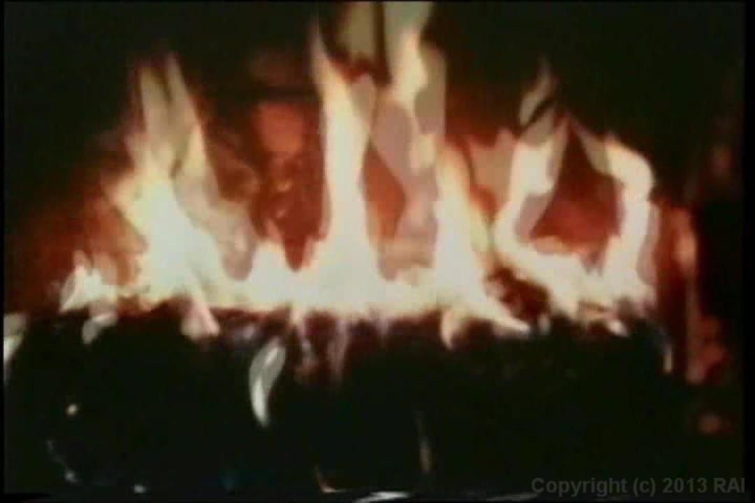 Cult 70s Porno Director: Roberta Findlay 2 Double Feature サンプル画像