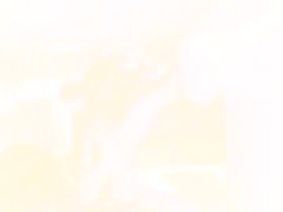 Lateenass サンプル画像
