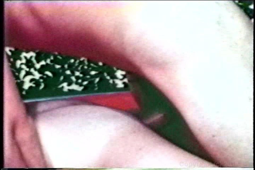 Anal Assault 2 サンプル画像132