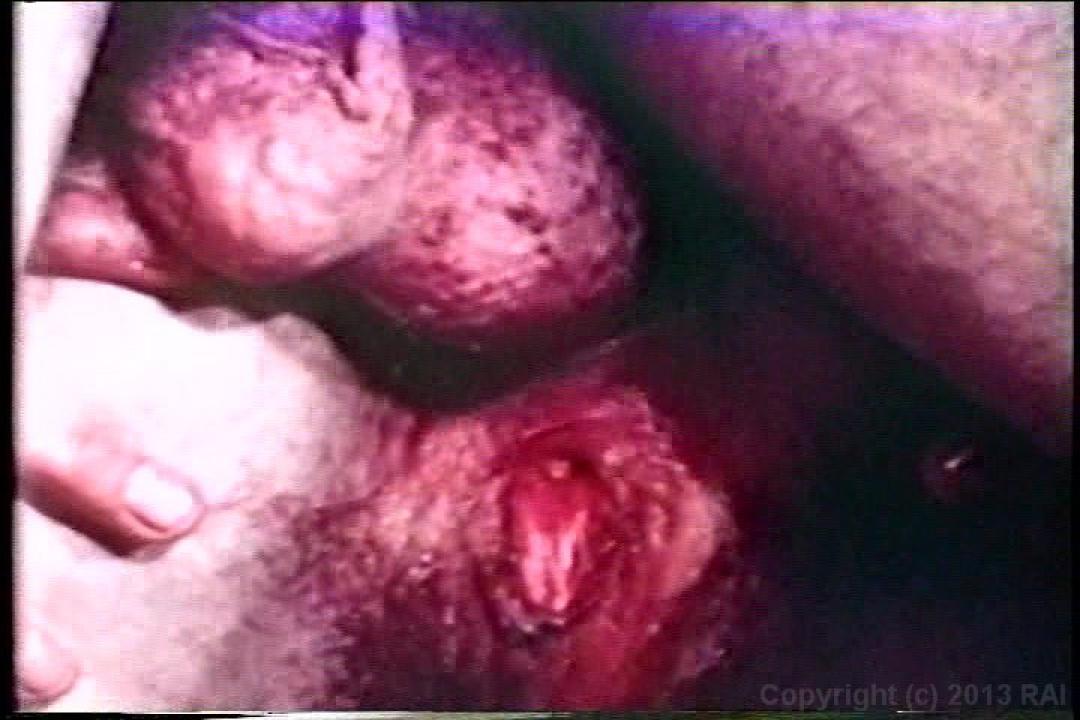 Anal Assault 2 サンプル画像135