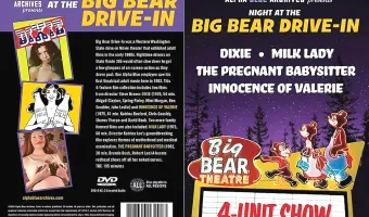 Night At The Big Bear Drive In