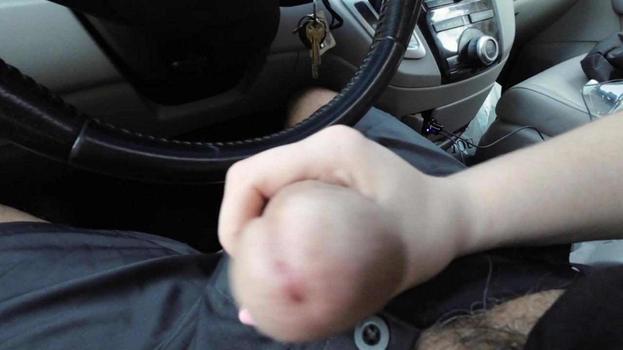 Perv Driver サンプル画像8