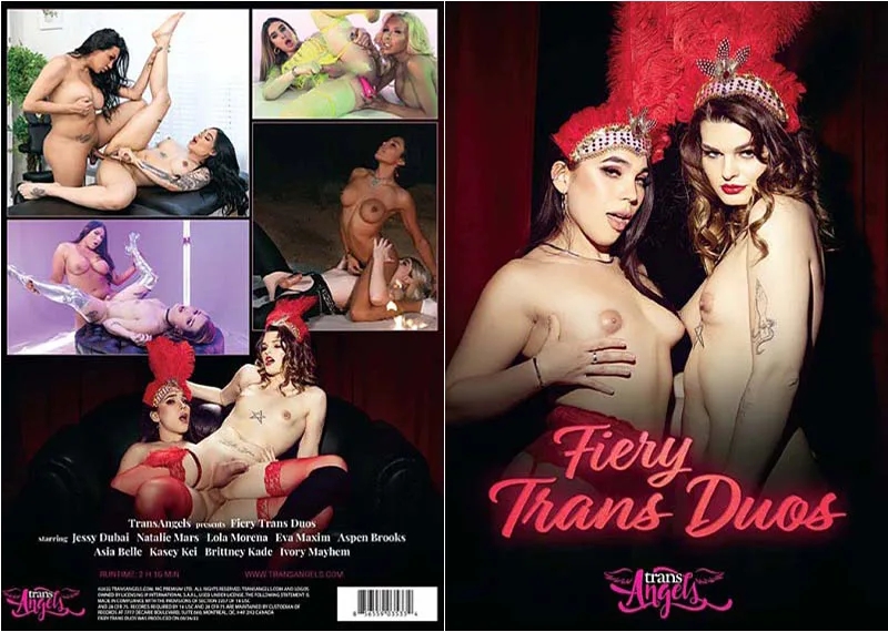 Fiery Trans Duos サンプル画像