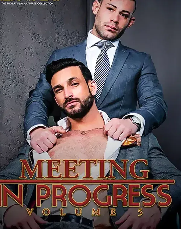 Meeting In Progress 5ダウンロード
