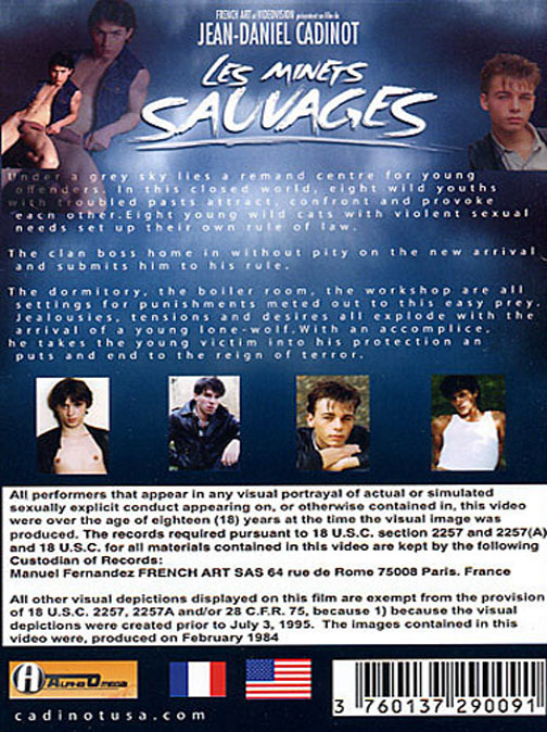 Les Minets Sauvages (Wild And Crazy Boys) サンプル画像