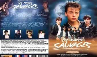 Les Minets Sauvages (Wild And Crazy Boys)