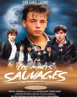 Les Minets Sauvages (Wild And Crazy Boys)