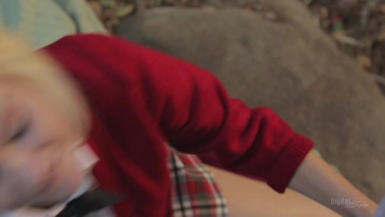 All Anal 3 (2 DVD Set) サンプル画像16