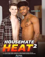 Housemate Heat 2