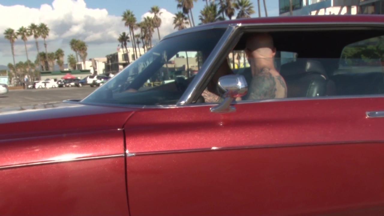Anissa Invades America サンプル画像