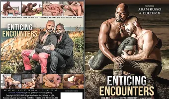Enticing Encounters