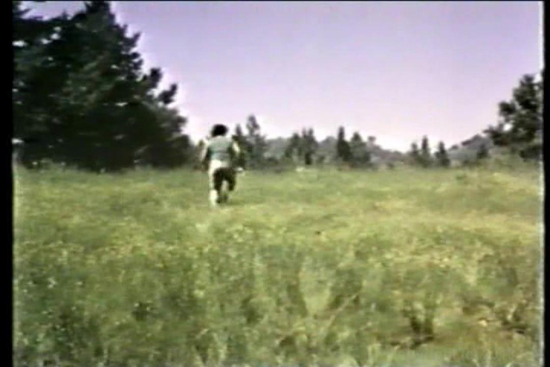 Cult 70s Porno Director: Zachary Strong Triple Feature サンプル画像