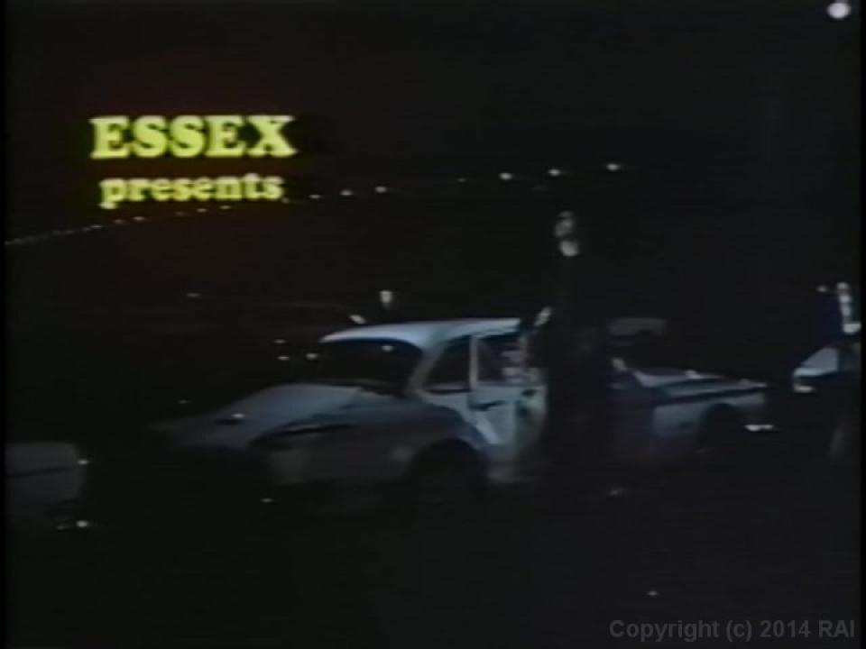 Annette Haven For The Love Of Pleasure Triple Feature サンプル画像