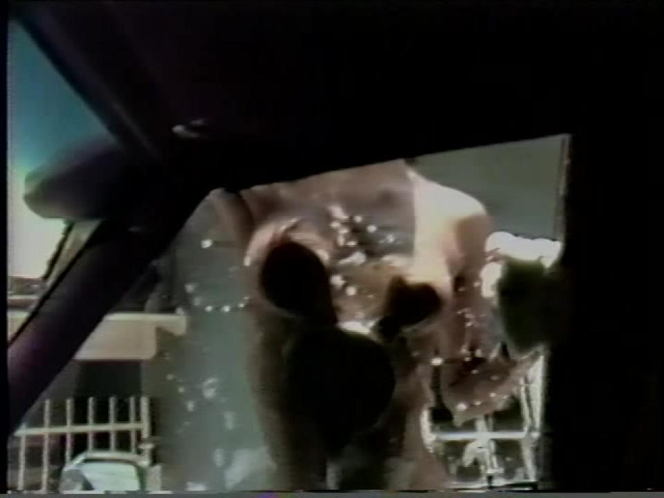 Lisa DeLeeuw Triple Feature 5 サンプル画像