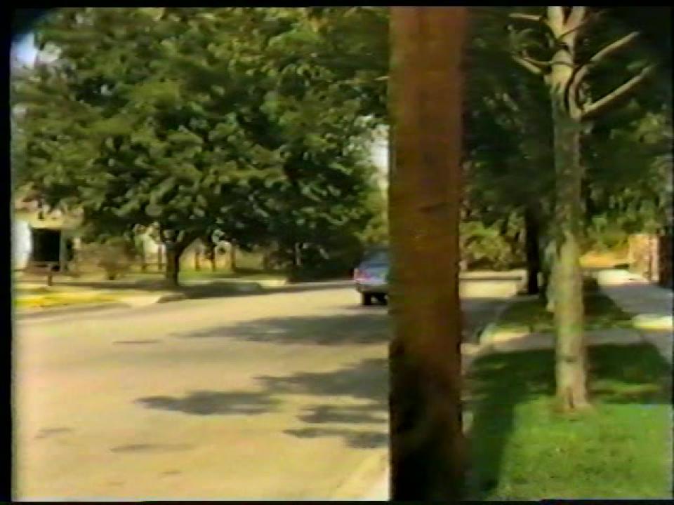 Lisa DeLeeuw Triple Feature 5 サンプル画像