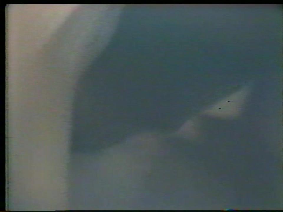 Lisa DeLeeuw Triple Feature 5 サンプル画像