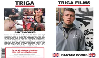 Bantam Cocks