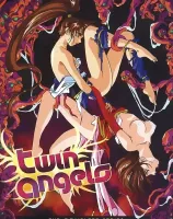 淫獣聖戦 ツインエンジェル (2DVDs) (DVD-Rディスク盤)  - 無料アダルト動画付き（サンプル動画）