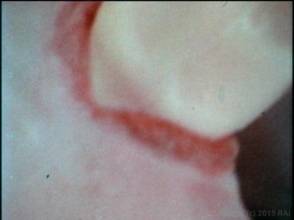 The Lost Films Of Orita De Chadwick サンプル画像41
