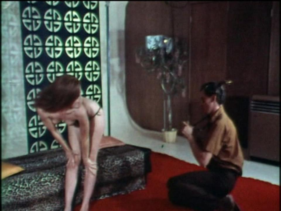 The Lost Films Of Suzanne Fields 2 サンプル画像3