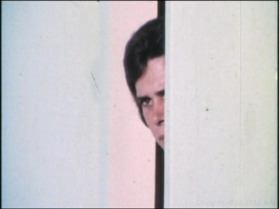 The Undergraduate Plus The Lost Films Of Suzanne Fields サンプル画像19