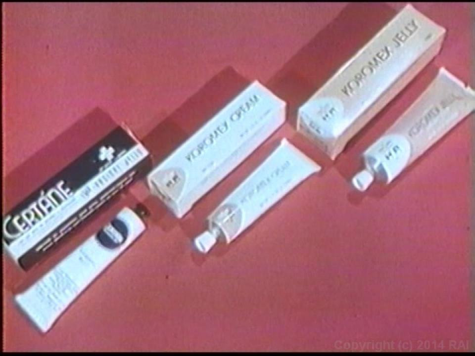 The Undergraduate Plus The Lost Films Of Suzanne Fields サンプル画像2