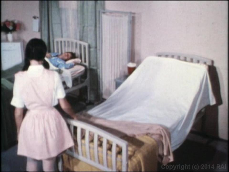 The Undergraduate Plus The Lost Films Of Suzanne Fields サンプル画像20