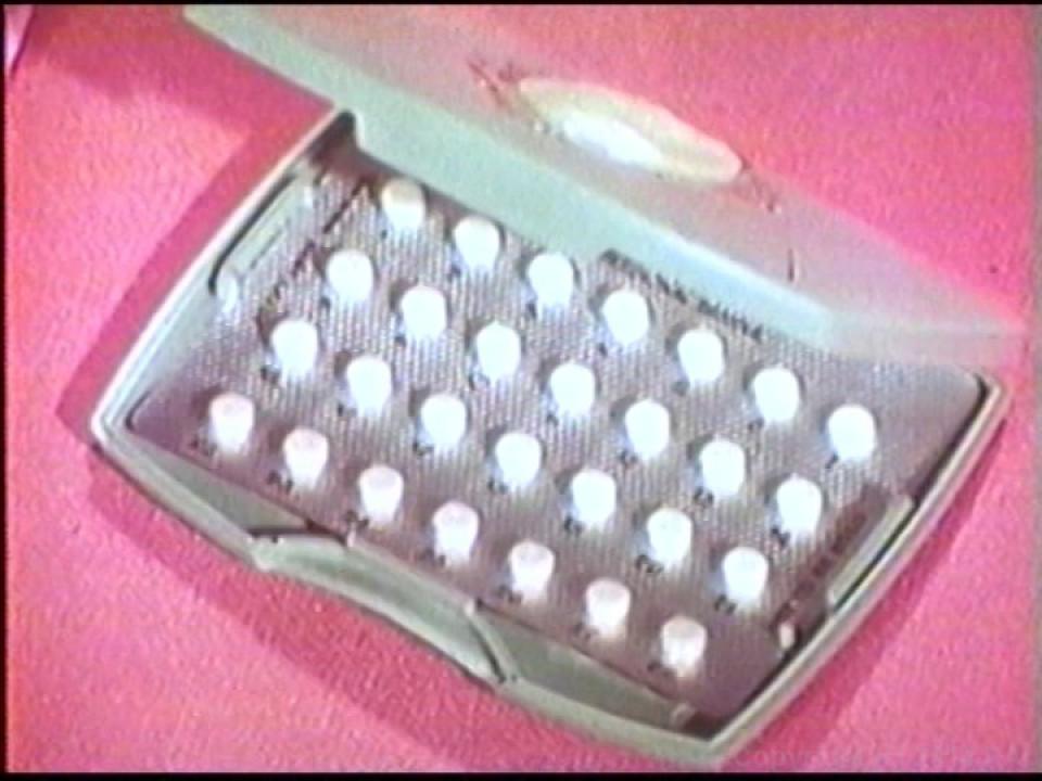 The Undergraduate Plus The Lost Films Of Suzanne Fields サンプル画像3
