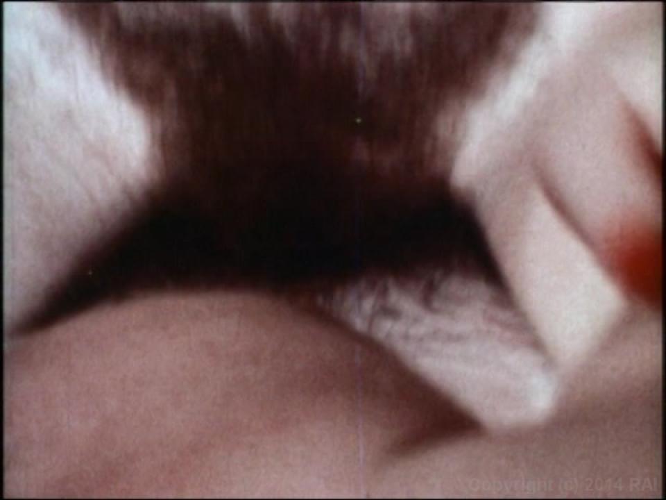 The Undergraduate Plus The Lost Films Of Suzanne Fields サンプル画像38