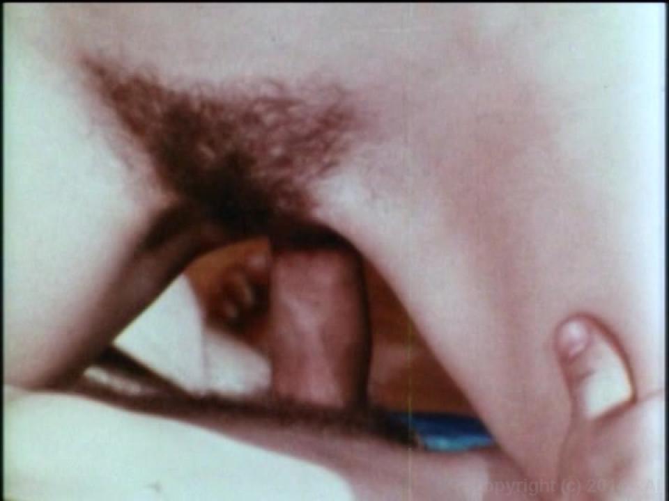 The Undergraduate Plus The Lost Films Of Suzanne Fields サンプル画像47